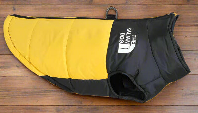 Manteau imperméable pour chien - jaune-Chien en balade