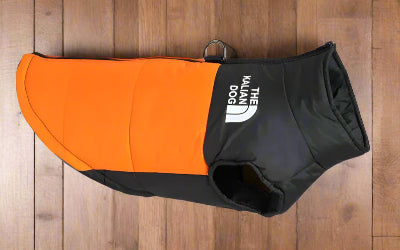 Manteau imperméable pour chien - orange-Chien en balade