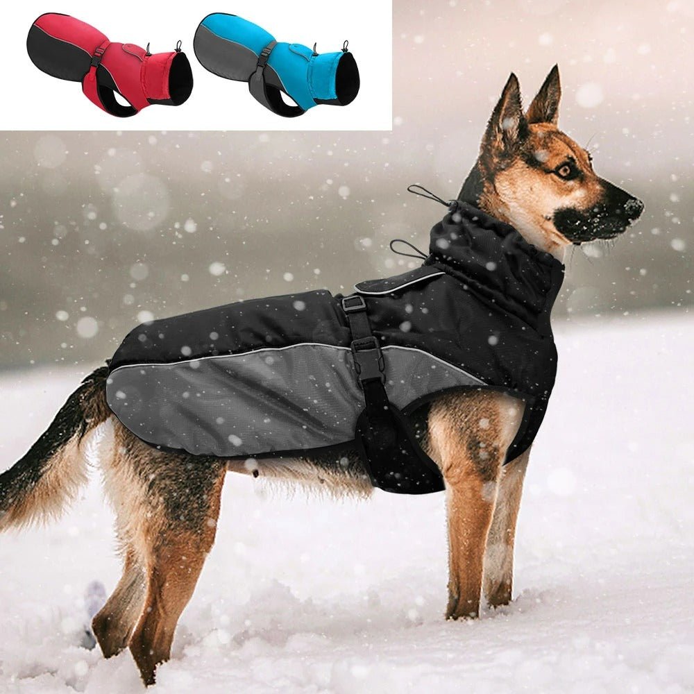 Manteau réfléchissant pour chien - Chien en balade