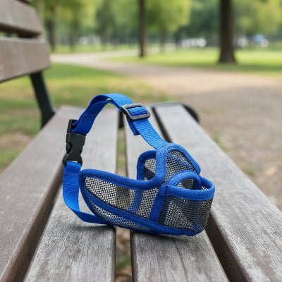 Muselière | Bouledogue Français | EasyBreath™ - Chien en balade