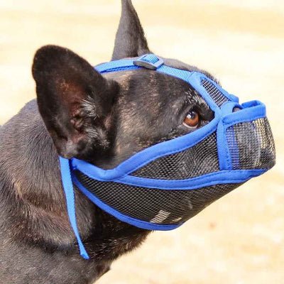Muselière | Bouledogue Français | EasyBreath™ - Chien en balade