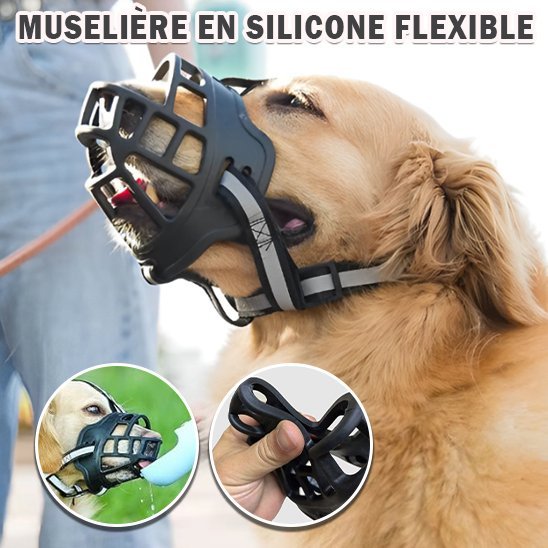 Muselière chien | MUzDog ™ Confort Sécurité - Chien en balade