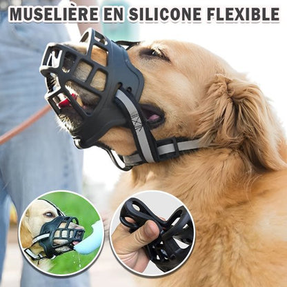 Muselière chien | MUzDog ™ Confort Sécurité - Chien en balade