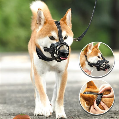 Muselière chien | MUzDog ™ Confort Sécurité - Chien en balade