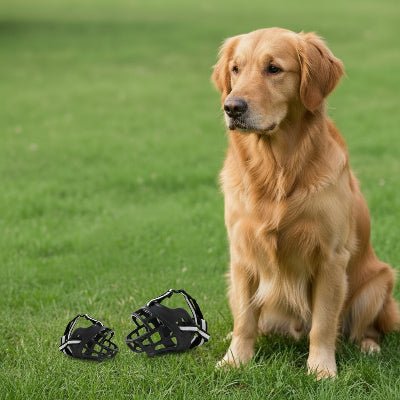 Muselière chien | Panier Sans douleur  Chien en balade
