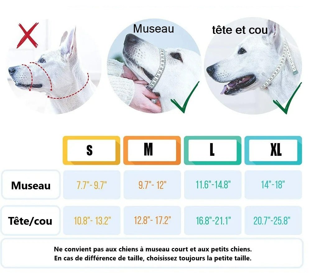 Muselière pour chien anti traction-mesure - Chien en balade