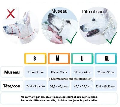Muselière pour chien| Muso™ Laisse Anti traction - Chien en balade