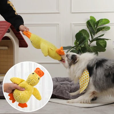 Peluche pour chien| Kouak™ - Chien en balade