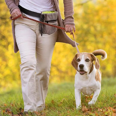 Sac-promenade-Petami- chien - Chien en balade