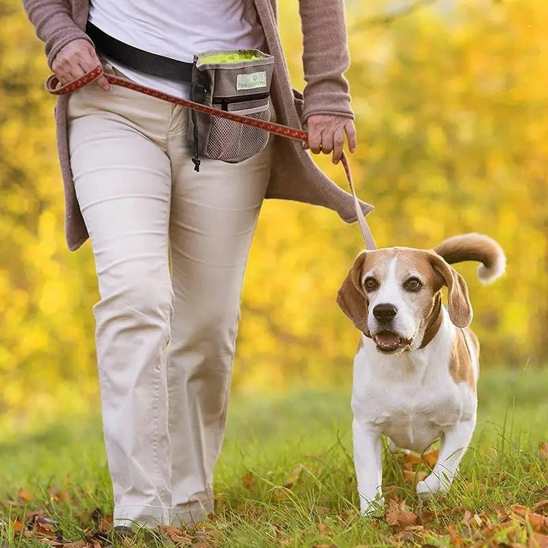 Sac de promenade pour chien™ - Chien en balade