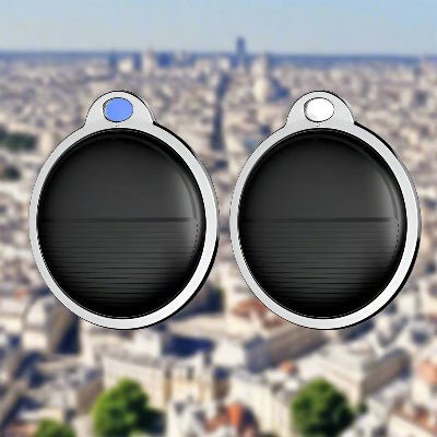 Traceur GPS chien DogTag™ - Chien en balade