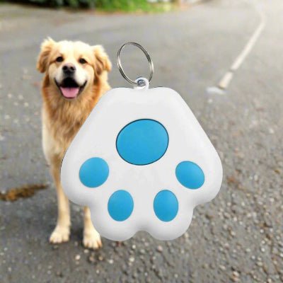 Traceur GPS chien | GipiTag™ - Localisez votre chien en temps réel - Chien en balade