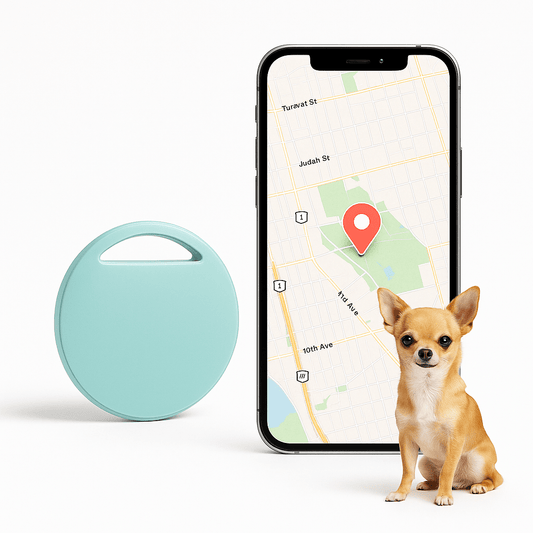 Traceur GPS Chien| MiniTag™ Localisez trouver en un instant - Chien en balade