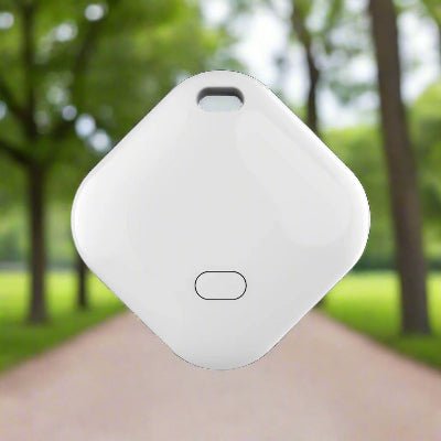 Traceur gps chien| Smart - Tag™ - Chien en balade